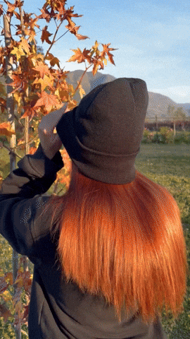 Gorro con Interior de Seda Clásico